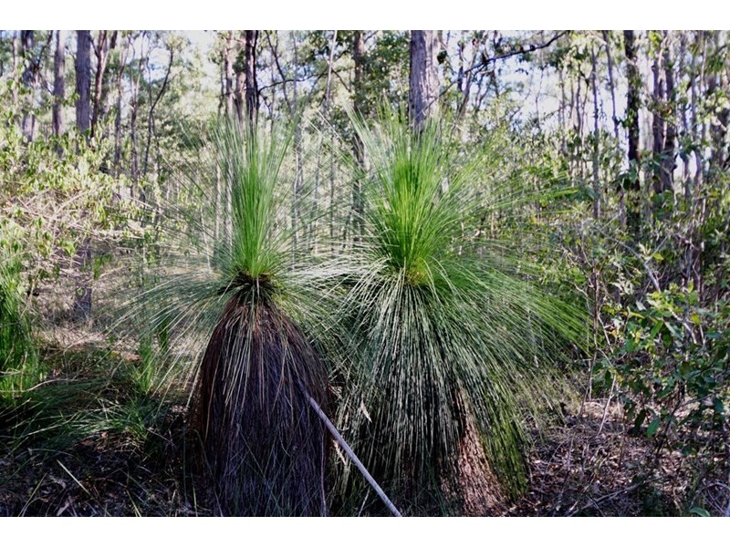 Lot 1 Staines Road, Blackbutt QLD 4306