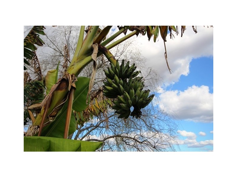 7114 Brisbane Valley Highway, Toogoolawah QLD 4313