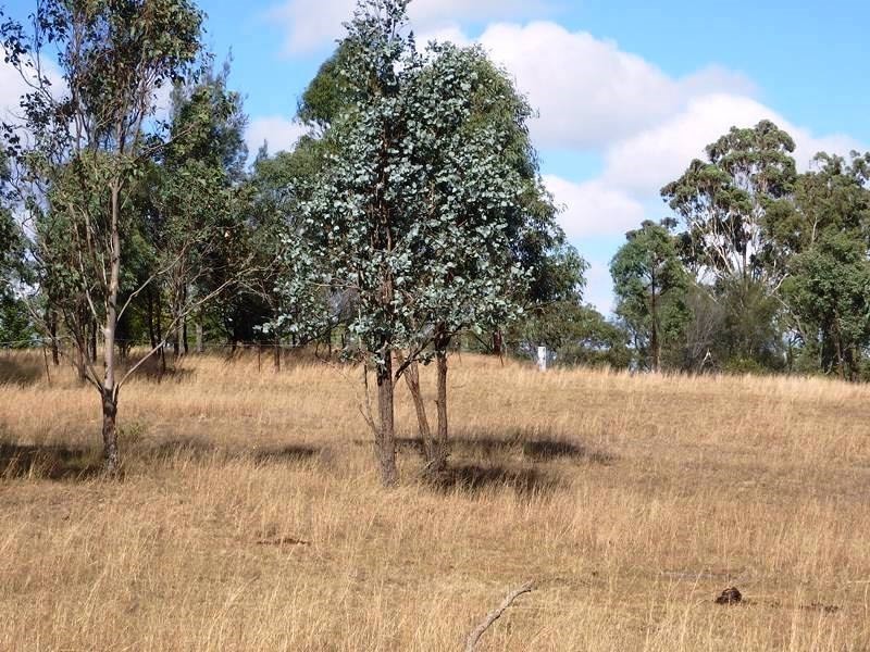 Lot 7 Old Esk Road, Blackbutt QLD 4306