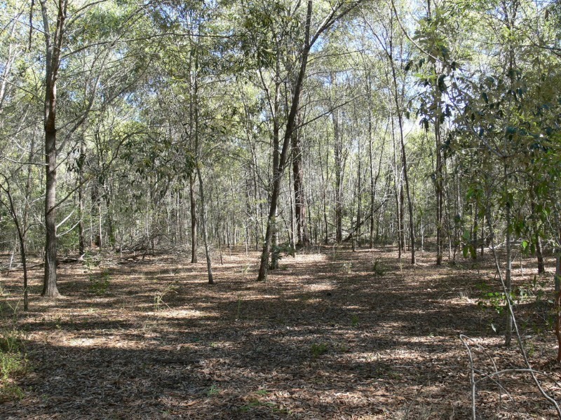 Mount Hallen QLD 4312