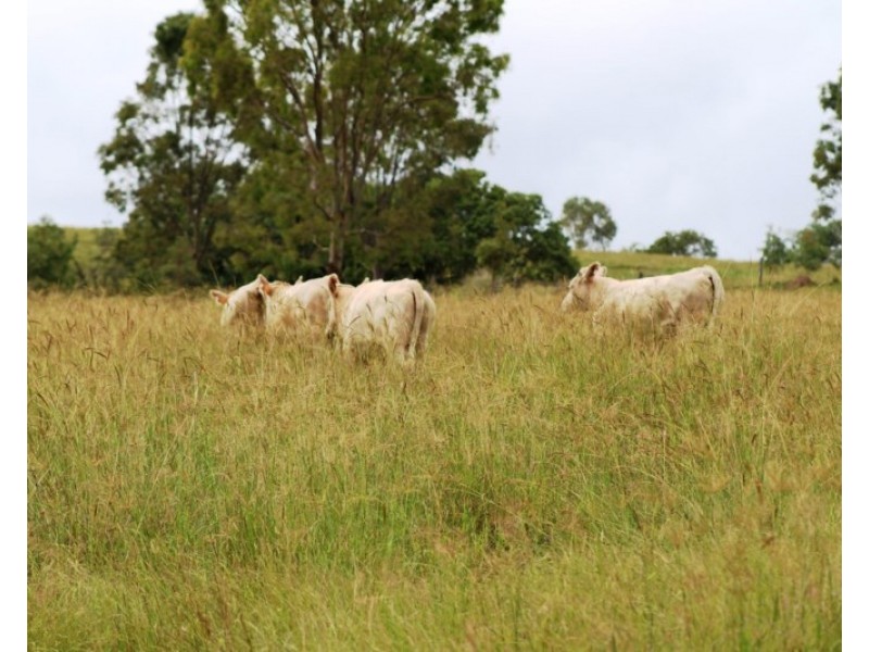 1169 Cooeeimbardi Road, Fulham QLD 4313