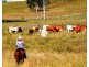 540 Spring Creek Road, Harlin QLD 4306