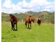 540 Spring Creek Road, Harlin QLD 4306