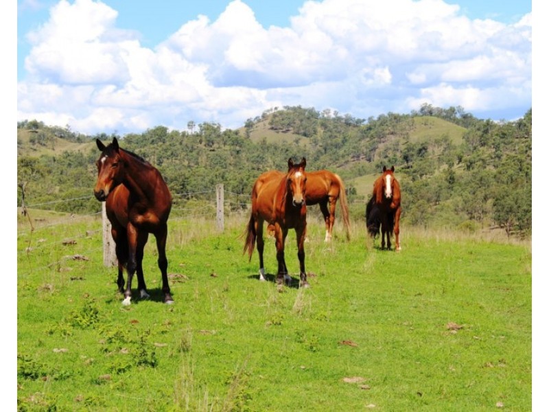 540 Spring Creek Road, Harlin QLD 4306
