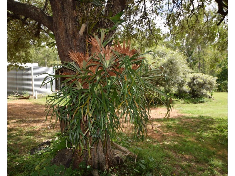 410 Langtons Lane, Esk QLD 4312