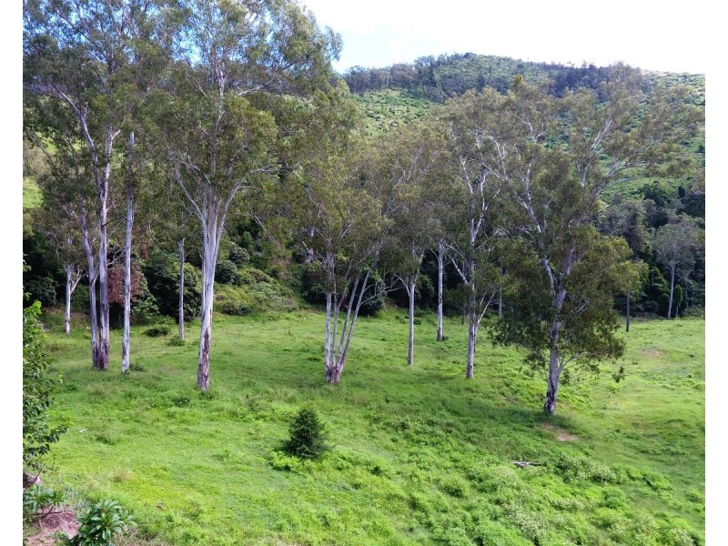 346 Cressbrook Creek Road, Biarra QLD 4313