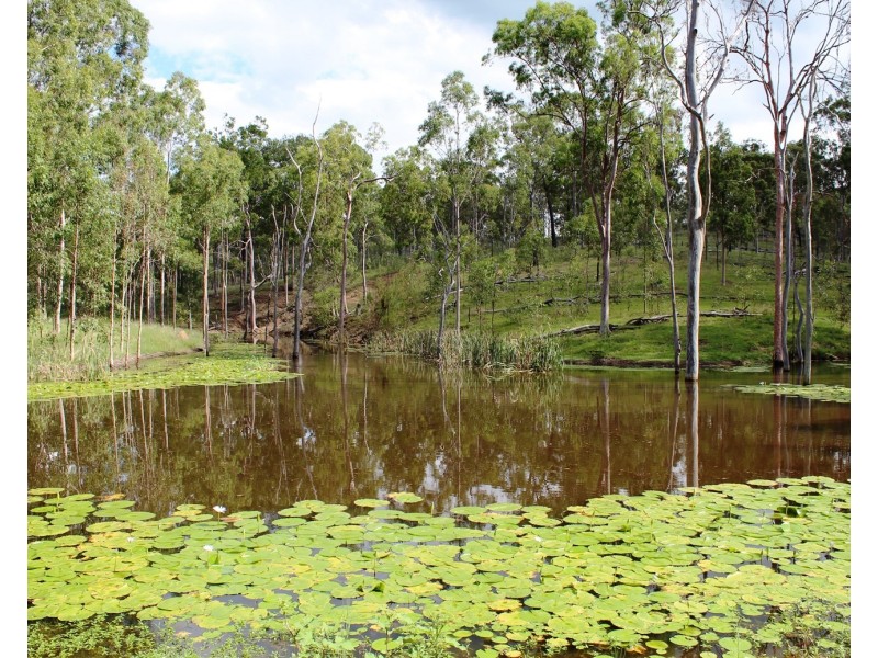 Lot 4 Tooloorum Road, Bryden QLD 4312