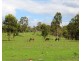 Lot 4 Tooloorum Road, Bryden QLD 4312