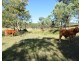 1062 Cooyar Mount Binga Road, Mount Binga QLD 4306