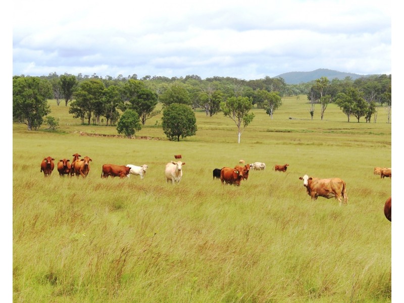 LOT 23 Morden Road, Biarra QLD 4313