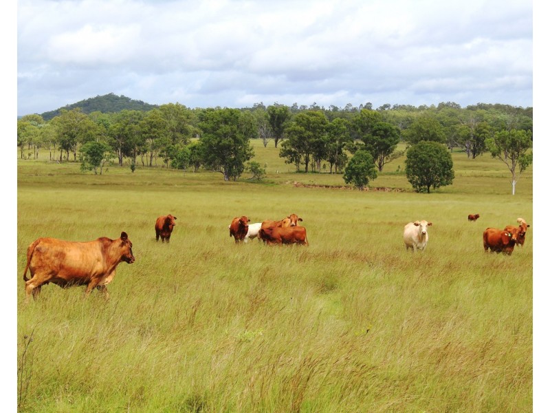 LOT 23 Morden Road, Biarra QLD 4313