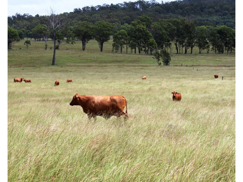 LOT 23 Morden Road, Biarra QLD 4313