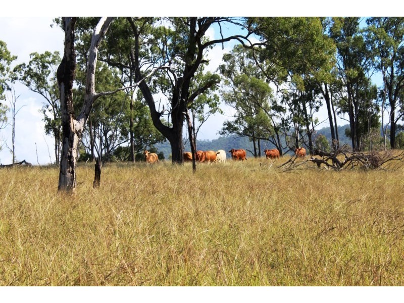 Lot 61 Cherry Lane, Ivory Creek QLD 4313