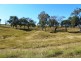 Lot 61 Cherry Lane, Ivory Creek QLD 4313