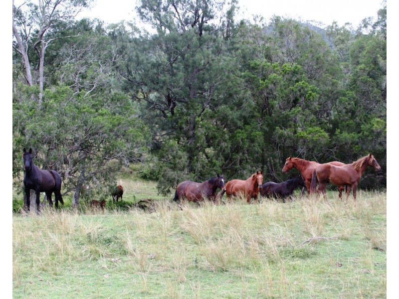 Lot 127 Littles Road, Toogoolawah QLD 4313