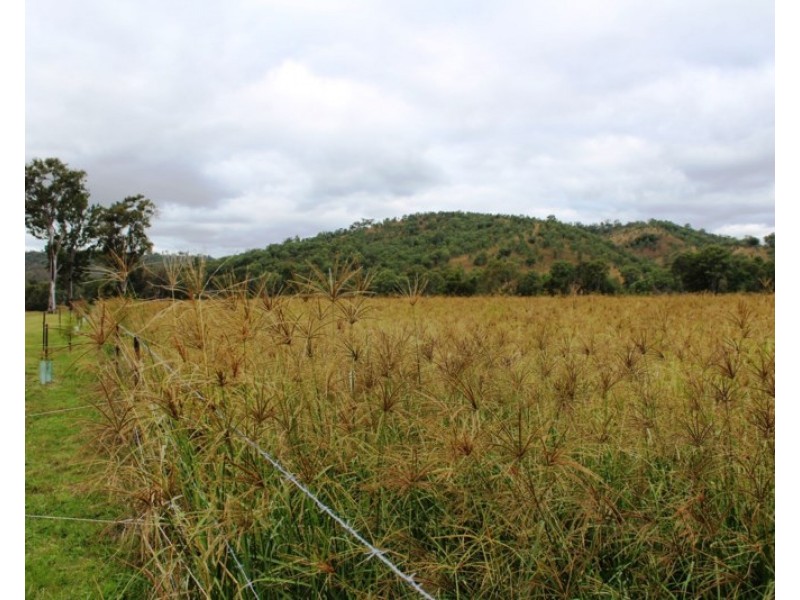 8980 D’Aguilar Highway, Moore QLD 4306
