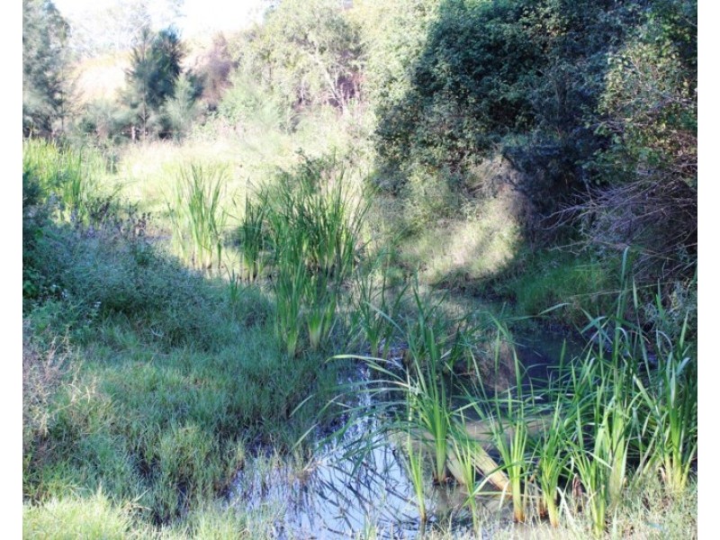 8980 D’Aguilar Highway, Moore QLD 4306