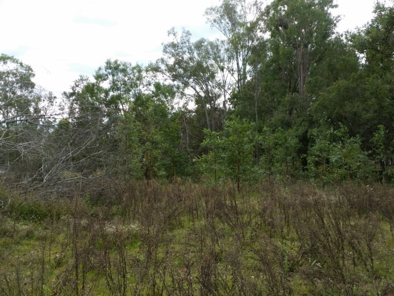 34 Elm Street, Esk QLD 4312