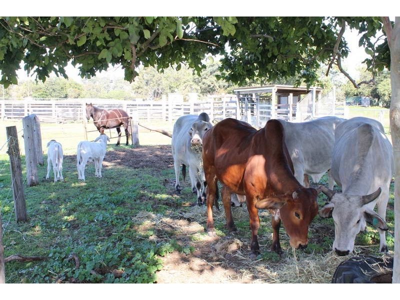 40 Fielding Road, Vernor QLD 4306