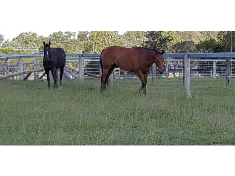 40 Fielding Road, Vernor QLD 4306