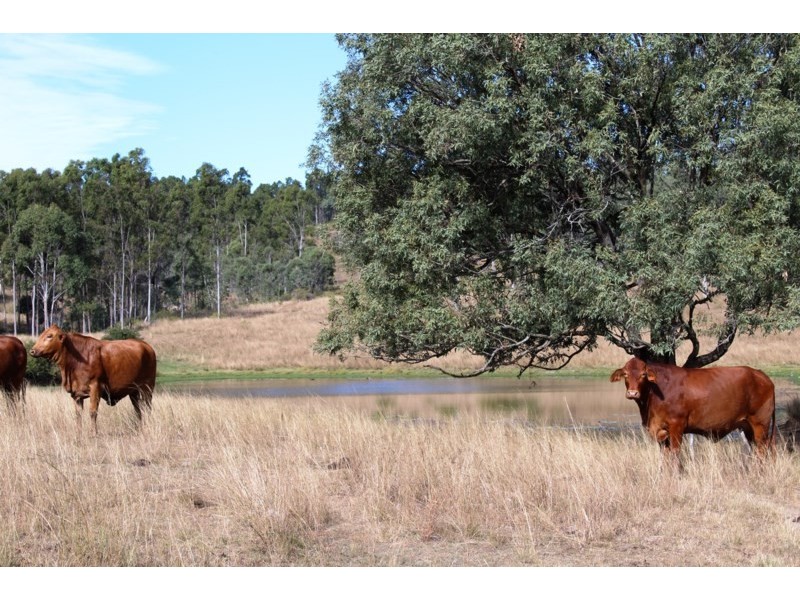 Lot 2 Esk Crows Nest Road, Biarra QLD 4313