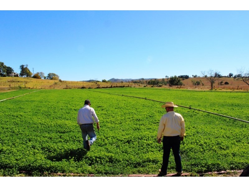 8112 D’Aguilar Highway, Moore QLD 4306