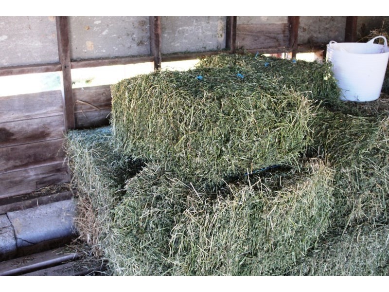 8112 D’Aguilar Highway, Moore QLD 4306