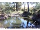 Lot 203 Cooeeimbardi Road, Cooeeimbardi QLD 4313