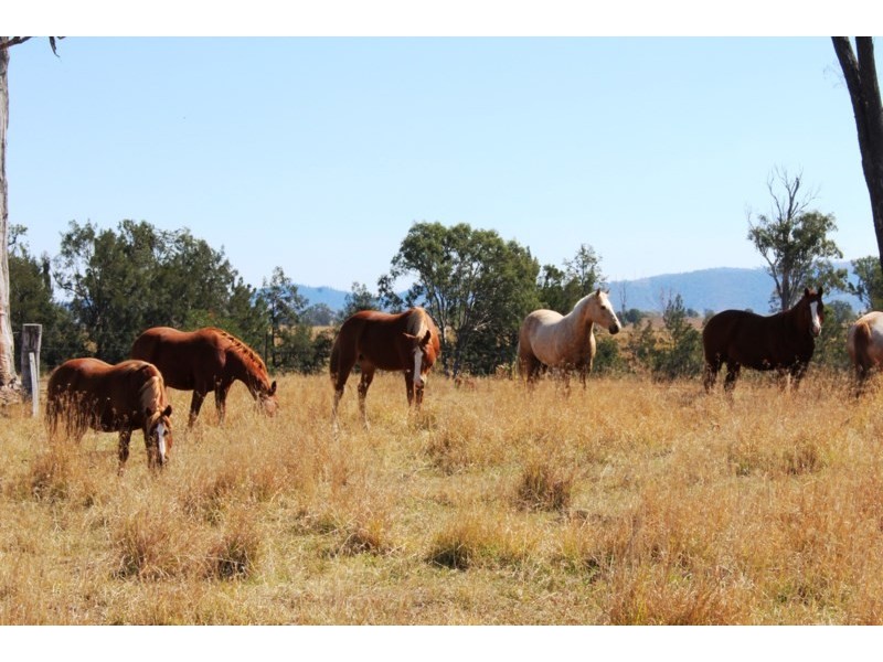 Lot 203 Cooeeimbardi Road, Cooeeimbardi QLD 4313