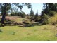 Lot 203 Cooeeimbardi Road, Cooeeimbardi QLD 4313