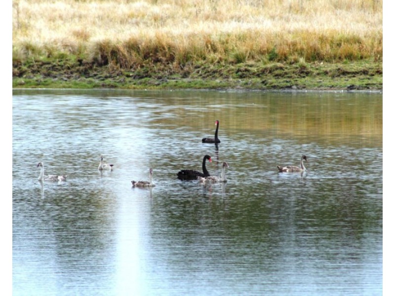 6012 Brisbane Valley Highway, Coal Creek QLD 4312