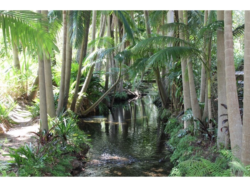 523 Wivenhoe Somerset Road, Split Yard Creek QLD 4306