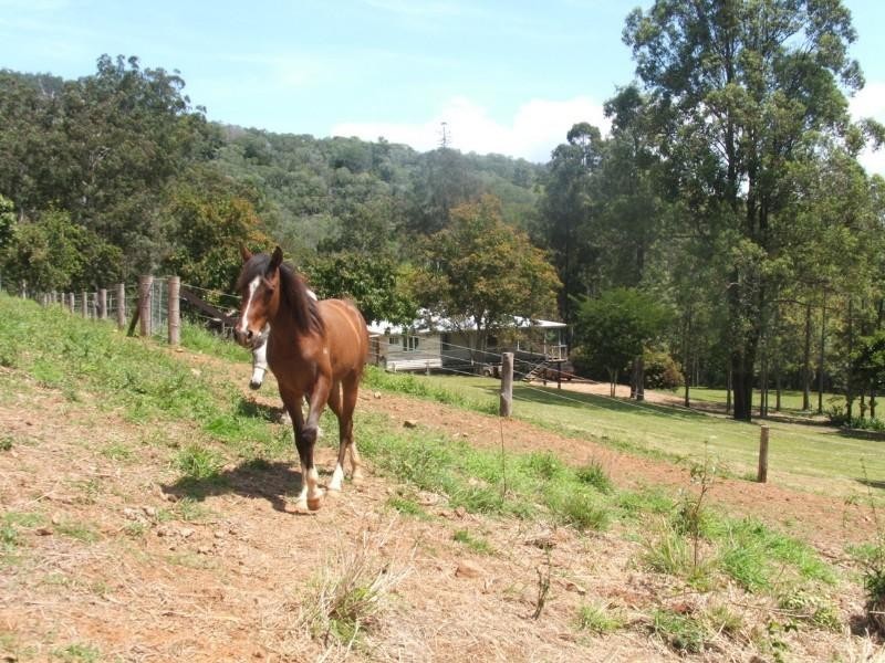 Fernvale QLD 4306