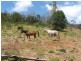 Fernvale QLD 4306