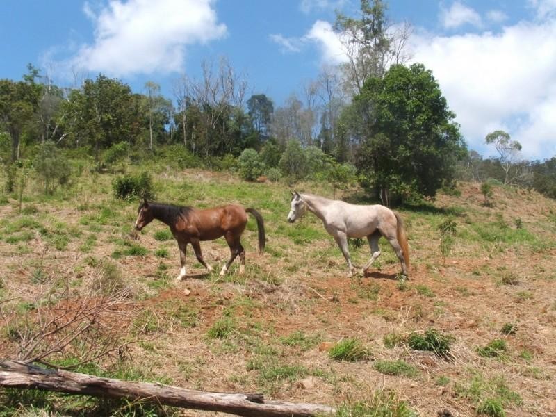 Fernvale QLD 4306