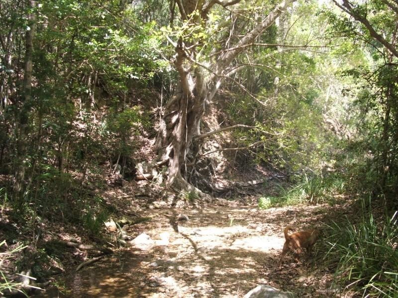 Fernvale QLD 4306
