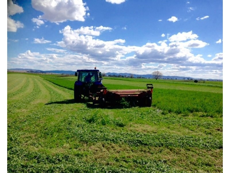 929 Cooeeimbardi Road, Lower Cressbrook QLD 4313