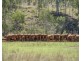Colinton QLD 4306