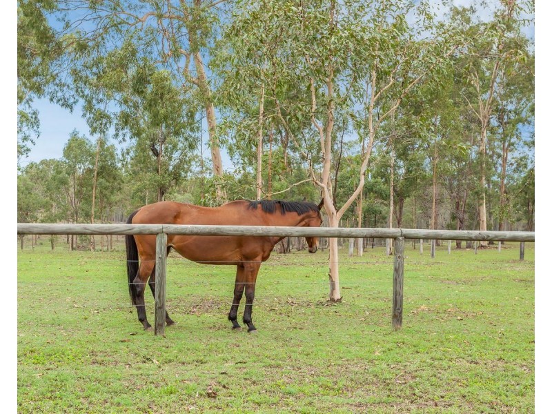 48 Essex Court, Mount Hallen QLD 4312