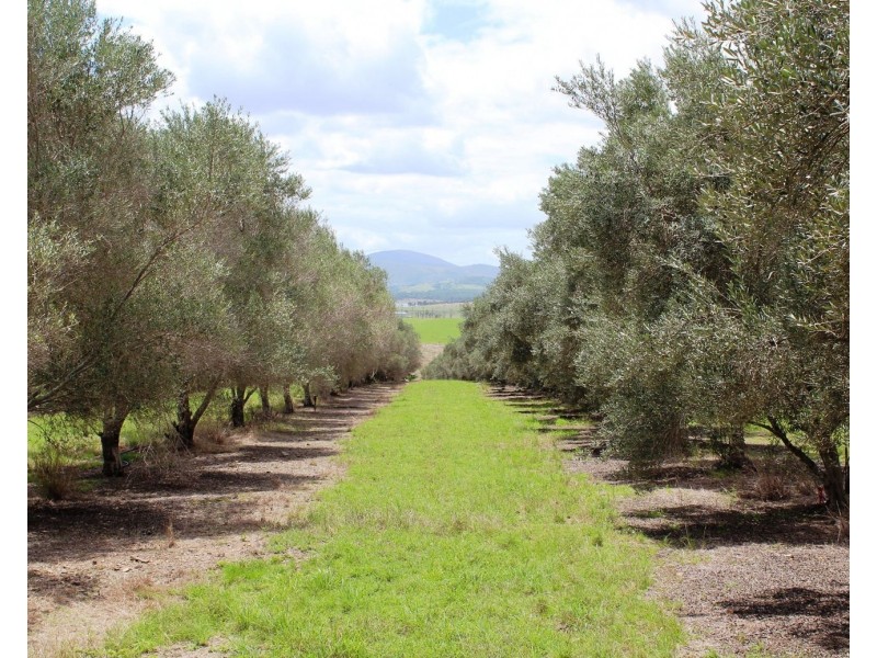 234 Paddy Gully Road, Glen Esk QLD 4312