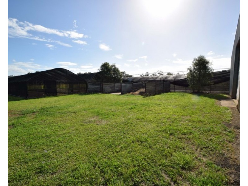 99 Nerreman Road, Wivenhoe Pocket QLD 4306