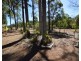 Lot 181 Grants Road, Benarkin QLD 4306