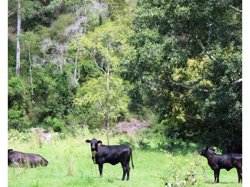 738 Arababy Creek Road, Moore QLD 4306