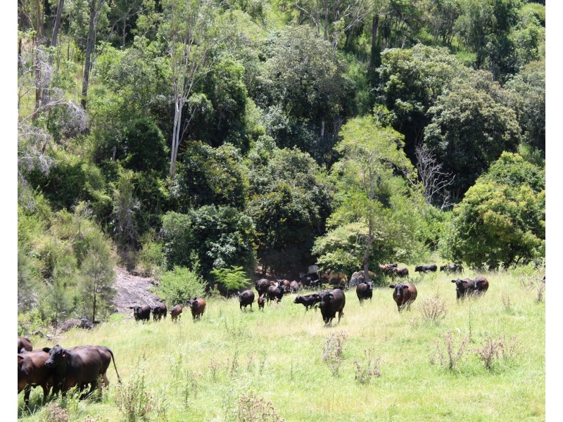 738 Arababy Creek Road, Moore QLD 4306