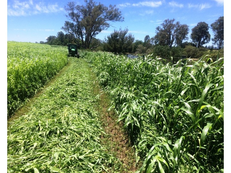 37 Golinskis Lane, Biarra QLD 4313