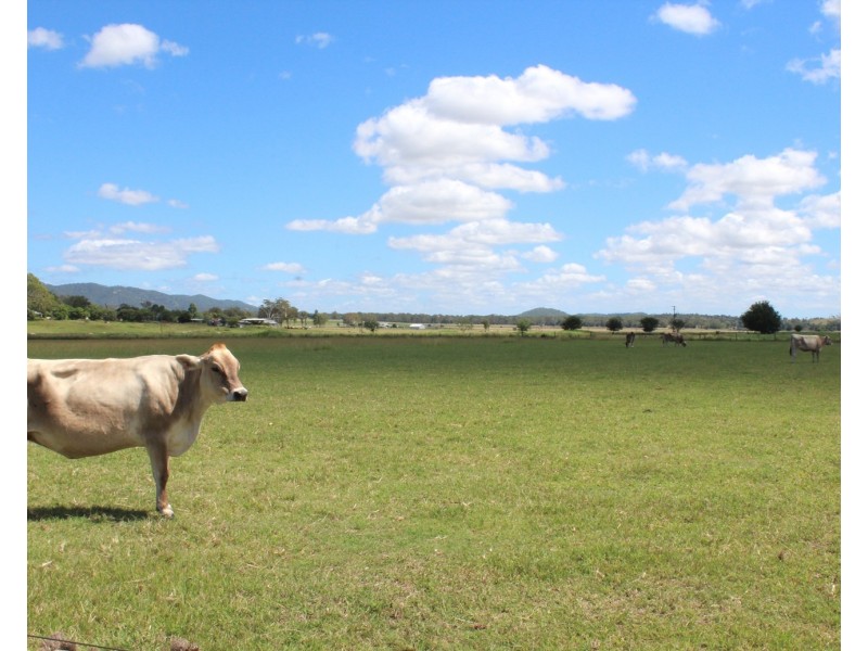 37 Golinskis Lane, Biarra QLD 4313