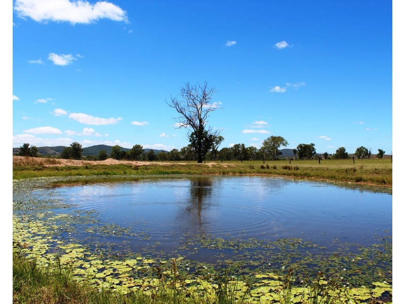 37 Golinskis Lane, Biarra QLD 4313