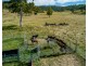 8980 D’Aguilar Highway, Moore QLD 4306