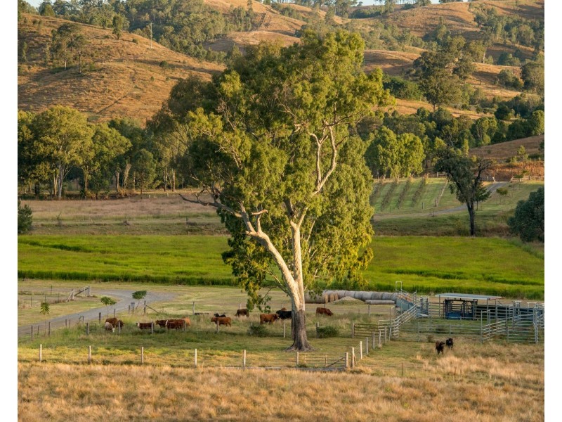 8980 D’Aguilar Highway, Moore QLD 4306