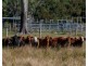 8980 D’Aguilar Highway, Moore QLD 4306
